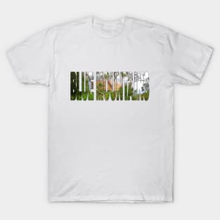 BLUE MOUNTAINS - NSW Australia Katoomba Falls T-Shirt